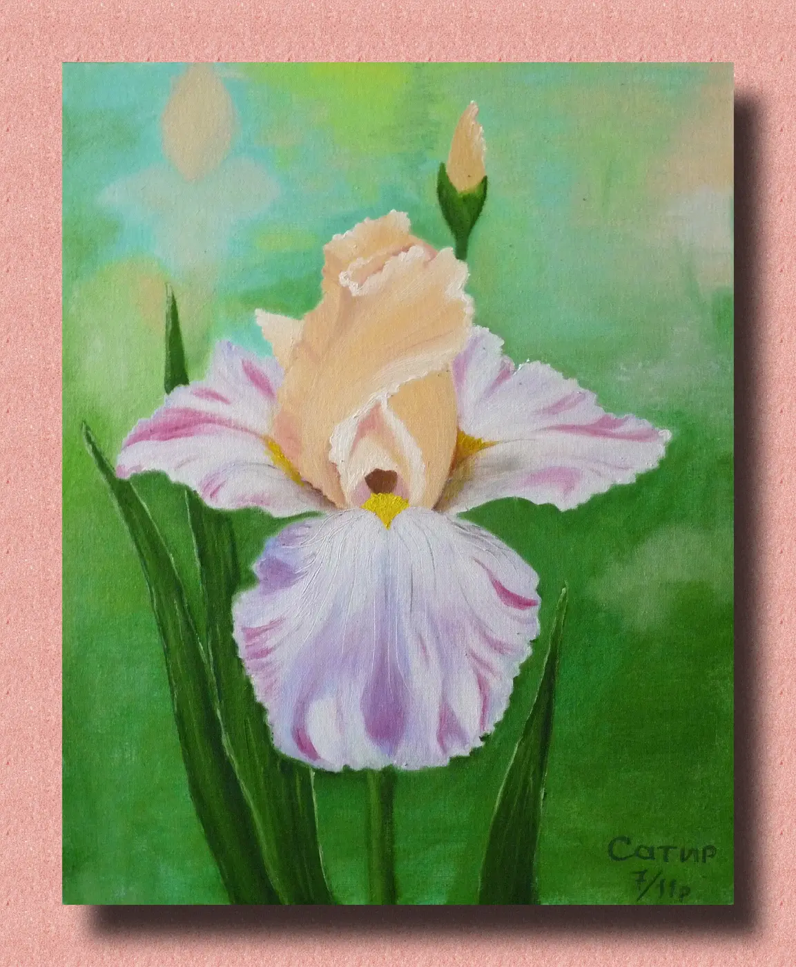 Картина «Бузковий ірис» — ніжна квітка ірису з бутоном на зеленому тлі